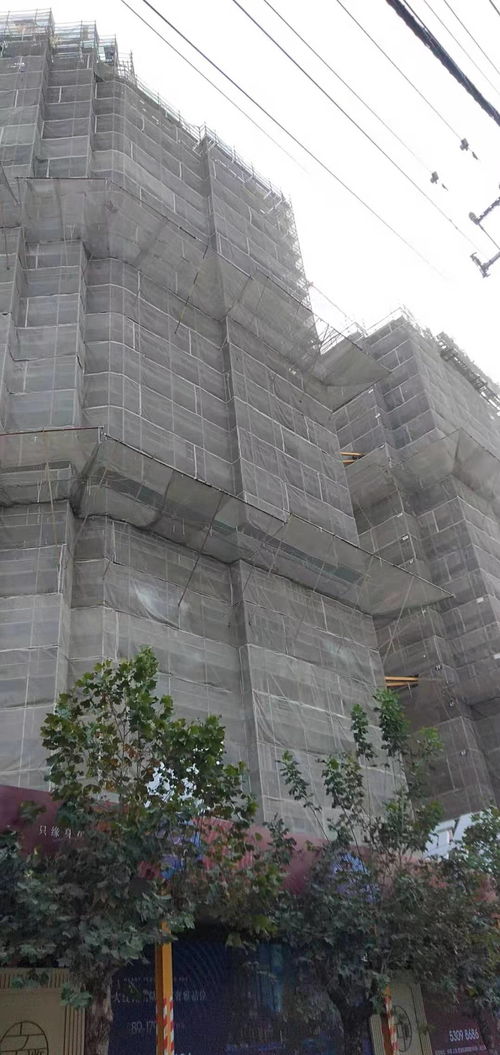 建筑建材企業商情 洞察市場脈搏，把握發展機遇